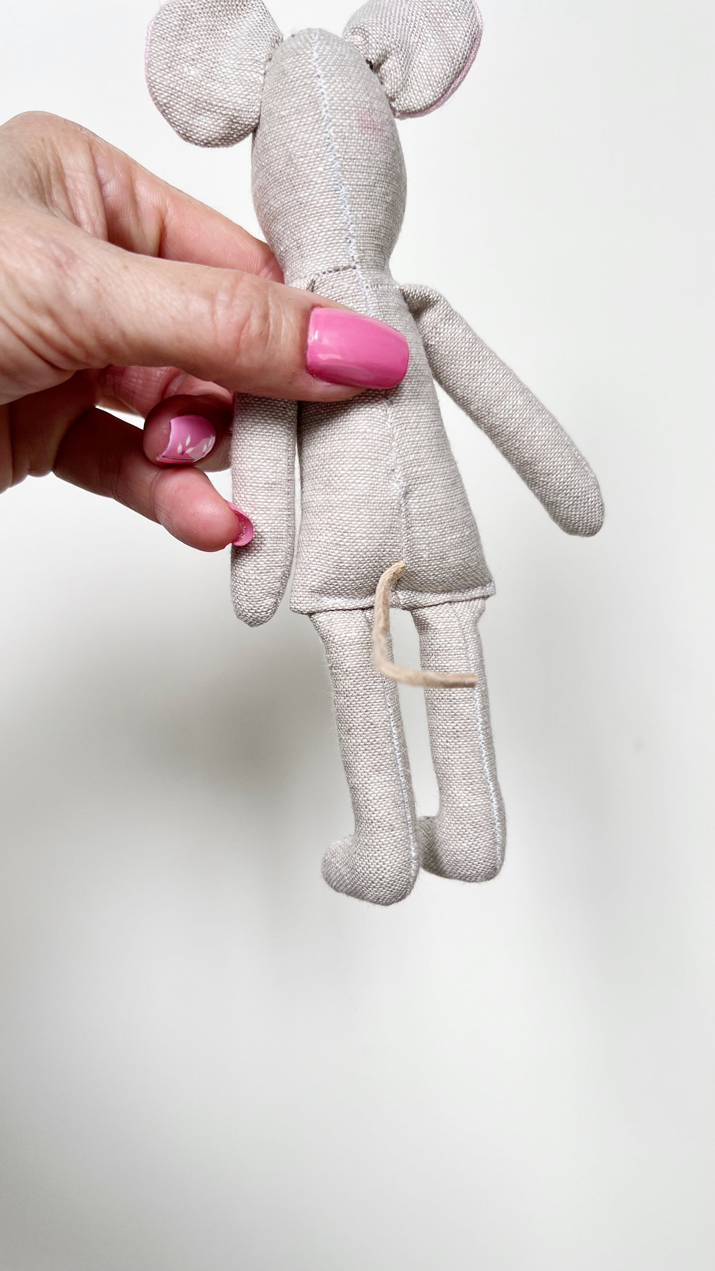 Pocket Mouse