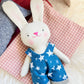 Mini doll tent, mini doll home, mini accessories
